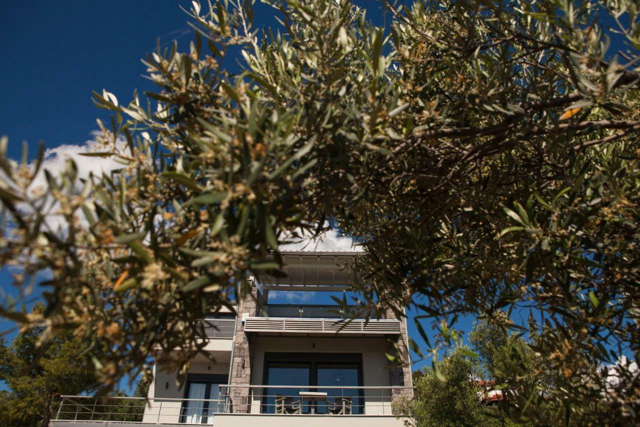 Olivia Estate Villa With Private Swimming Pool Elia Nikitis Exteriör bild