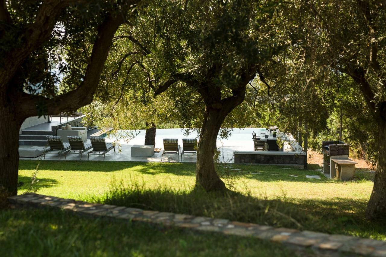 Olivia Estate Villa With Private Swimming Pool Elia Nikitis Exteriör bild