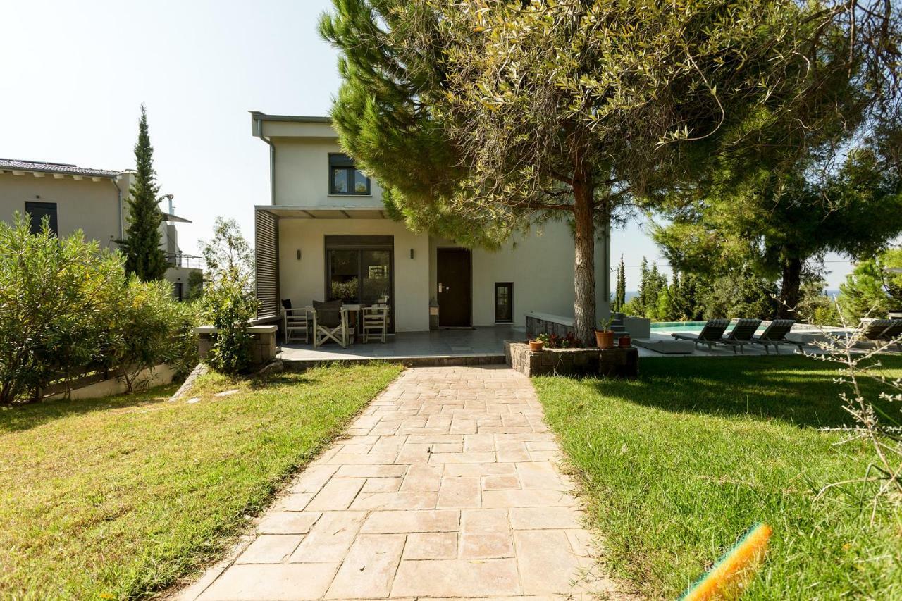 Olivia Estate Villa With Private Swimming Pool Elia Nikitis Exteriör bild