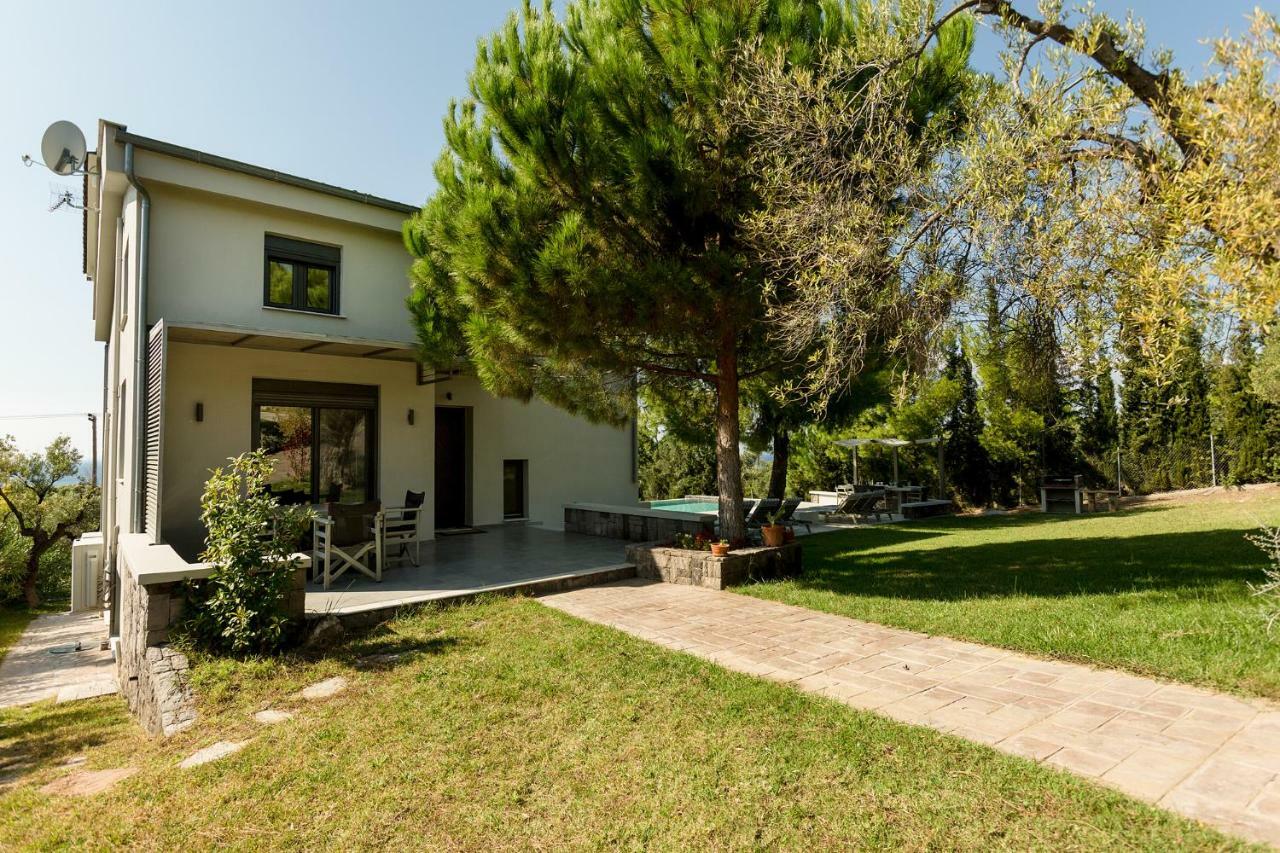 Olivia Estate Villa With Private Swimming Pool Elia Nikitis Exteriör bild
